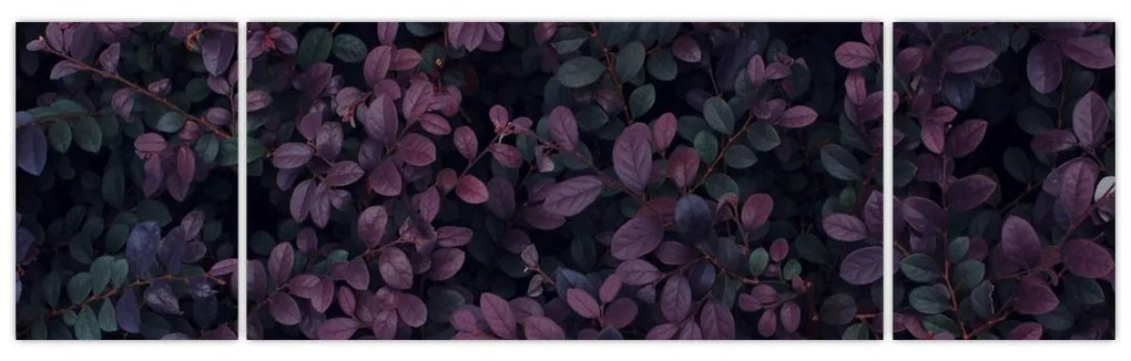 Obraz ciemnoczerwonych liści (170x50 cm)