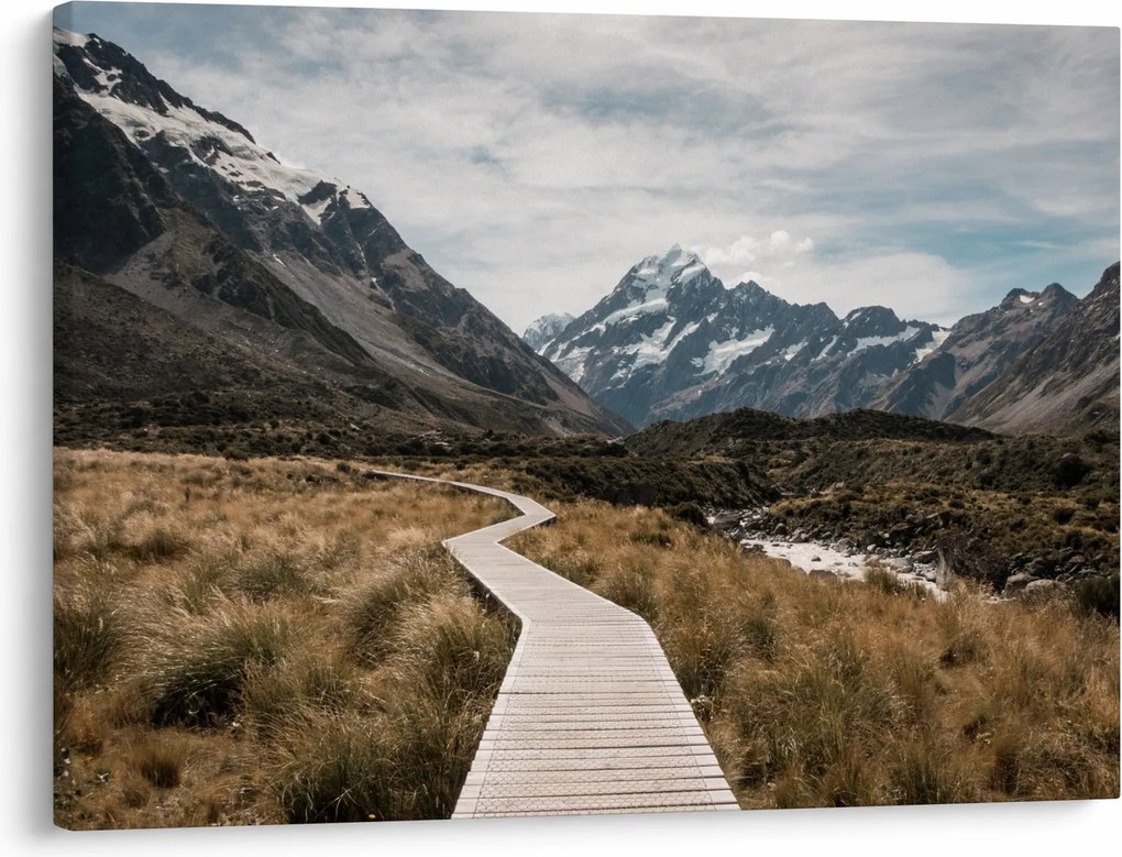 Obraz - Chodnik w dolinie góry Mt. Cook (70x50 cm)