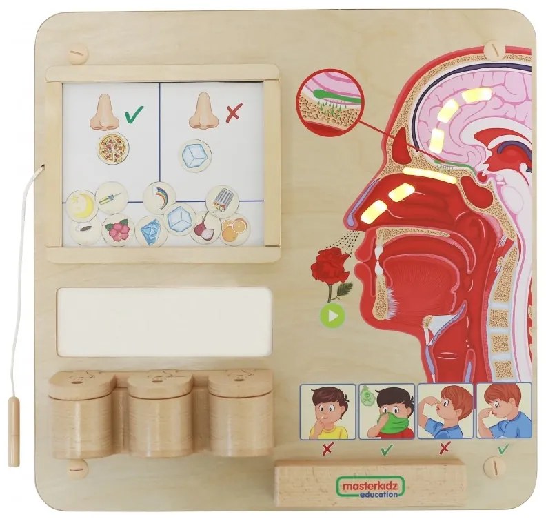 Masterkidz tablica edukacyjna zmysł węchu montessori