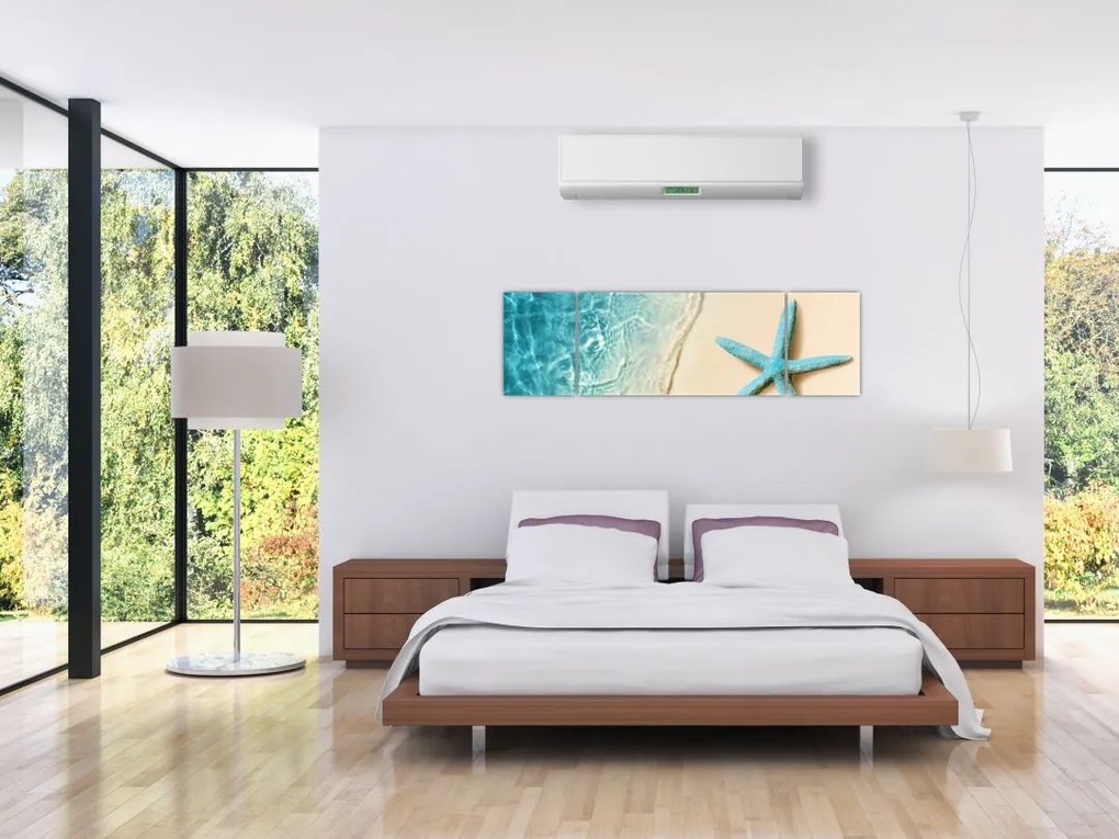 Obraz - Rozgwiazda na plaży (170x50 cm)