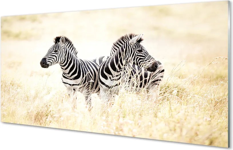 Szklany Panel Zebry na Afrykańskiej Równinie