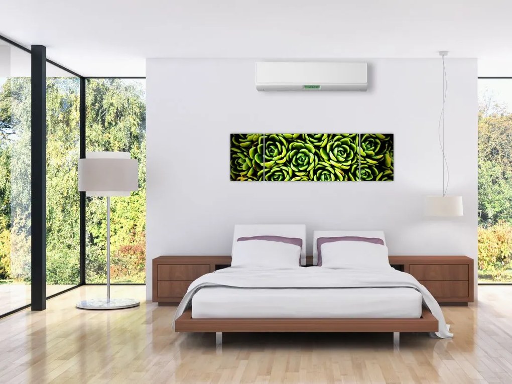 Obraz bez grzywki (170x50 cm)