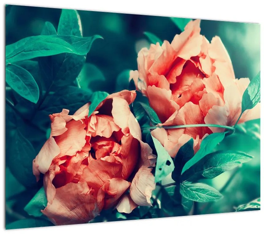 Obraz na szkle wiosennych kwiatów (70x50 cm)