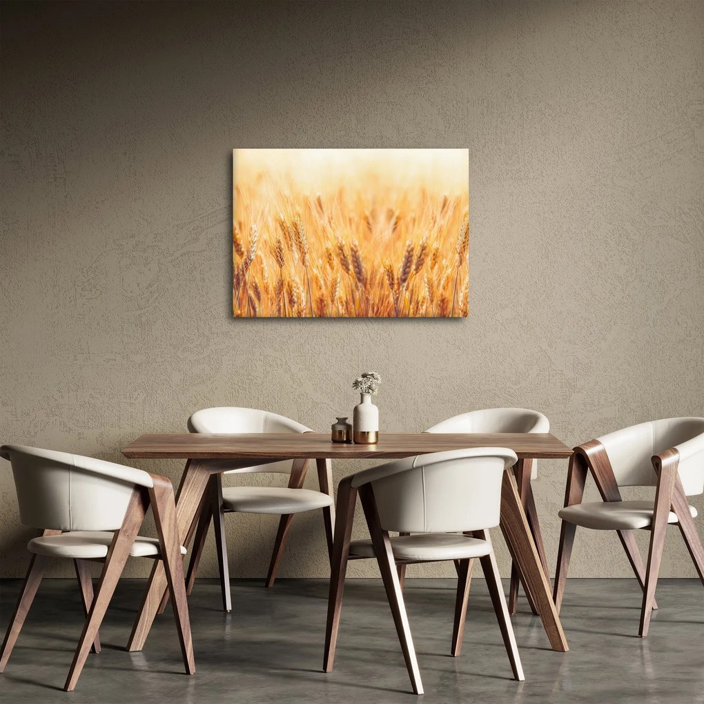 Obraz - pole z ziarnami (70x50 cm)