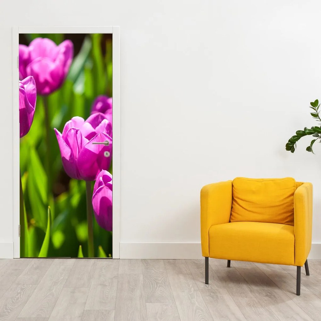 Fototapeta na drzwi - Tulipany na łące (95x205cm)