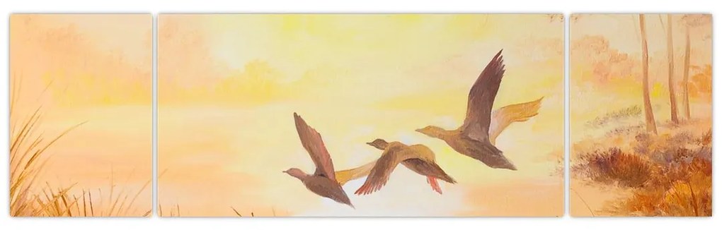 Obraz - Żurawie o zachodzie słońca (170x50 cm)