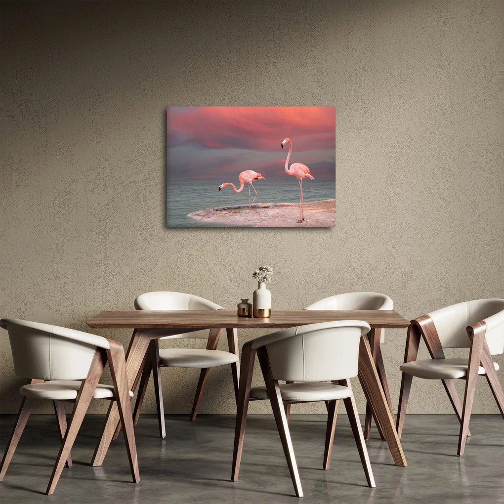 Obraz flamingów (70x50 cm)