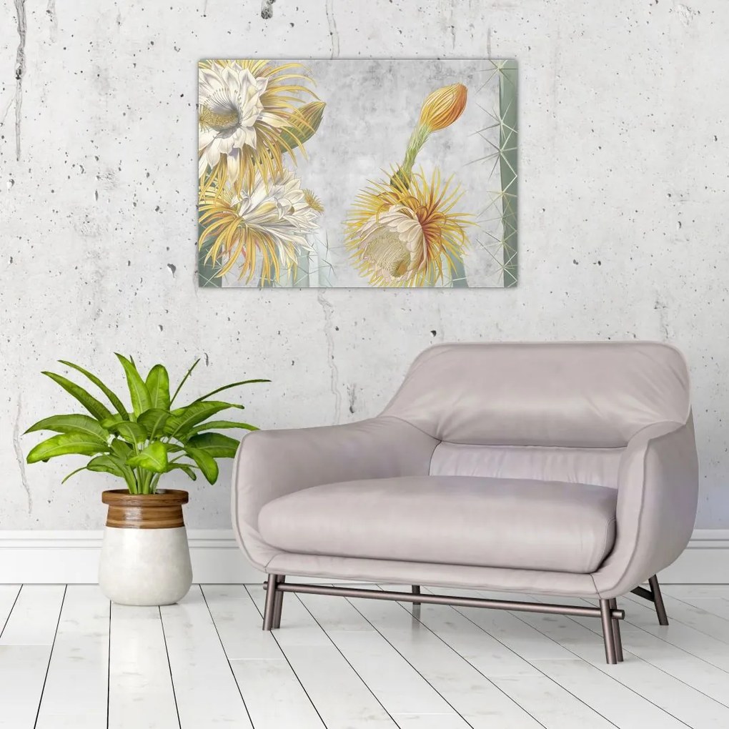 Obraz na szkle - Kwitnące kaktusy (70x50 cm)