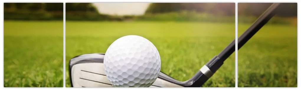 Obraz - Golf (170x50 cm)