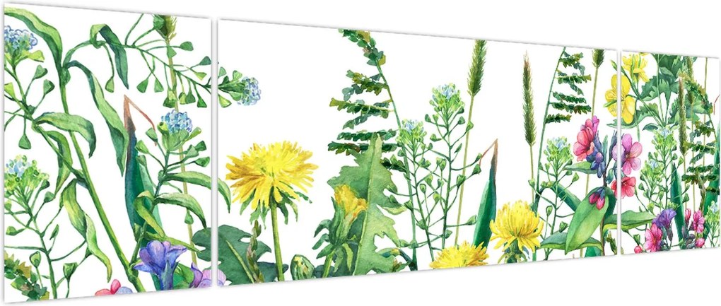 Obraz - Malowane kwiaty łąkowe (170x50 cm)