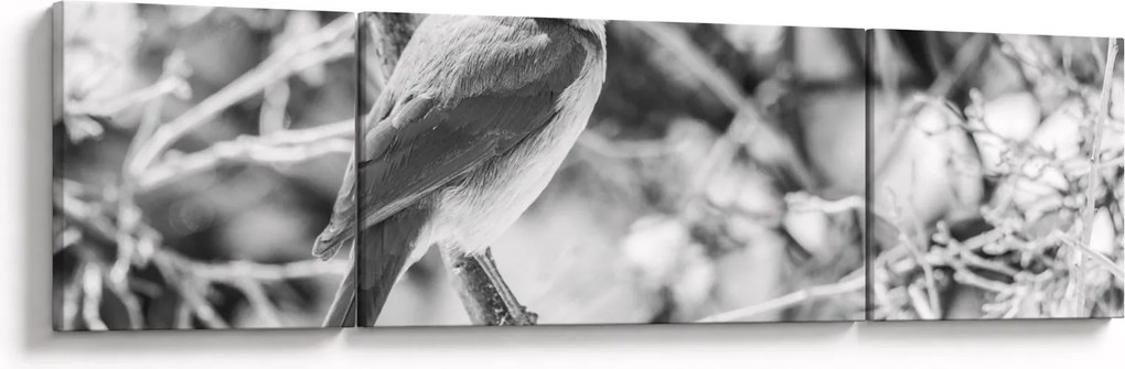 Obraz - Niebieski ptak zimą (170x50 cm)
