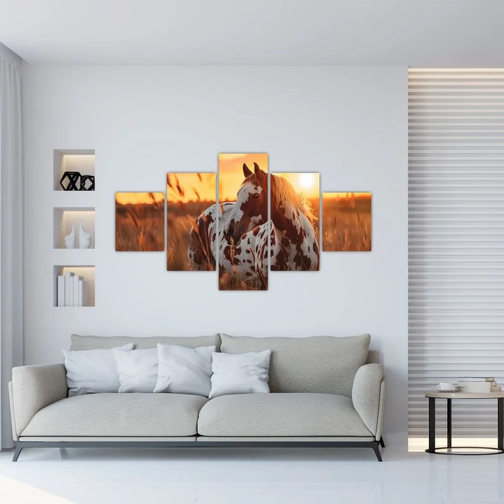Obraz - Koń o zachodzie słońca (125x70 cm)
