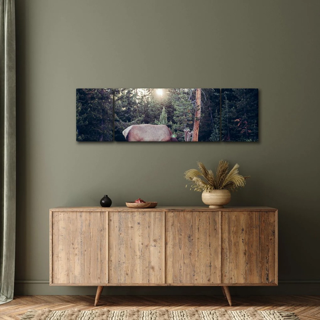 Obraz - Łoś na polanie (170x50 cm)