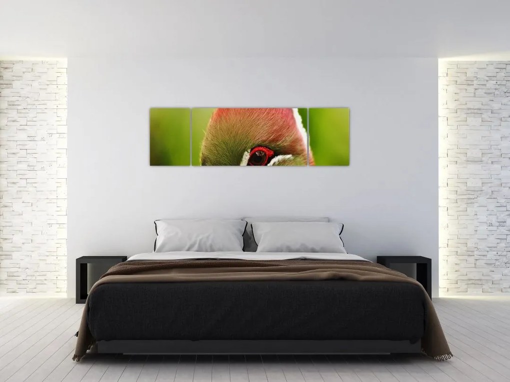 Obraz kolorowego ptaka (170x50 cm)