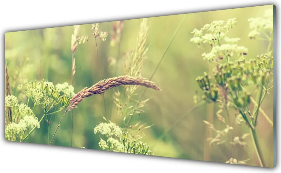 Panel Szklany Surowy Urok Polnej Flory