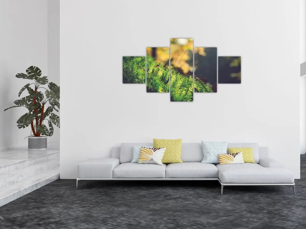 Obraz mchu z grzybem (125x70 cm)