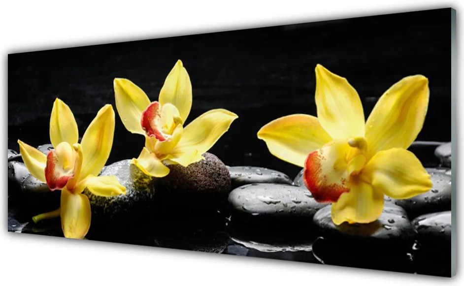 Panel Szklany Królewska Biała Orchidea