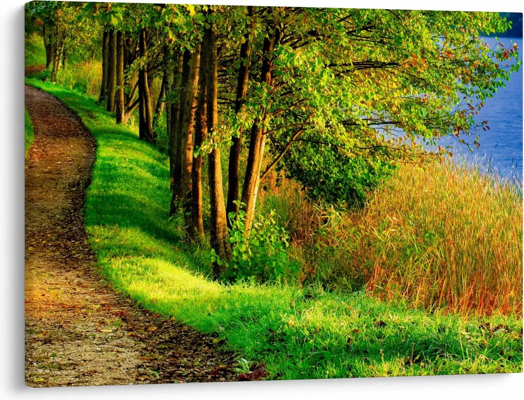 Obraz szlaku wzdłuż wody (70x50 cm)