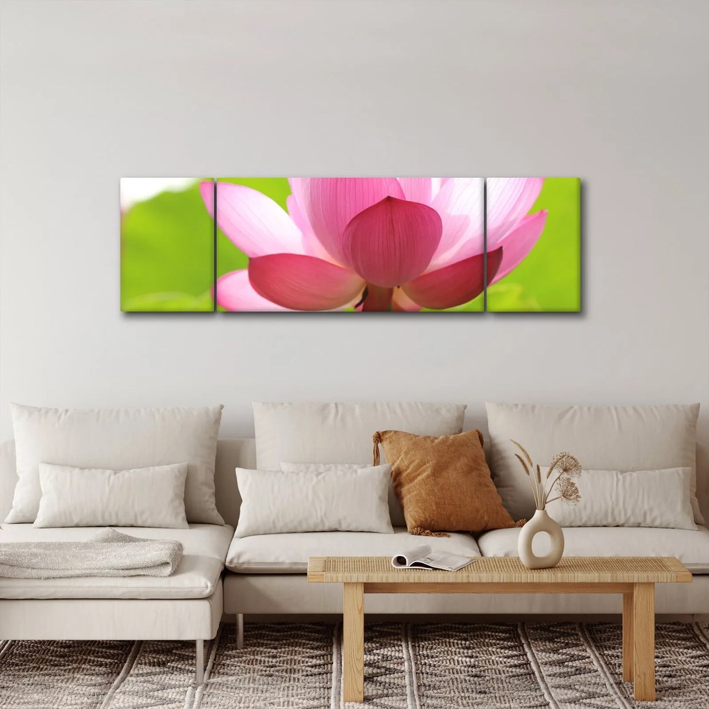 Obraz kwiatu lotosu (170x50 cm)