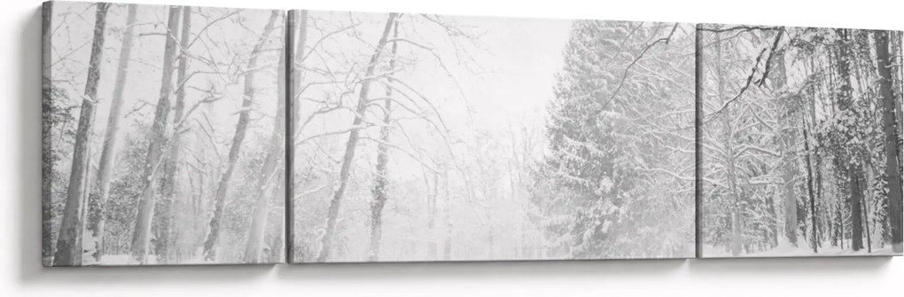 Obraz - Drewniane molo zimą (170x50 cm)