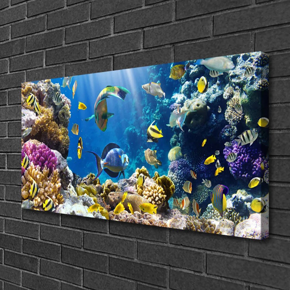 Duży obraz na płótnie Kolorowa Rafa Koralowa