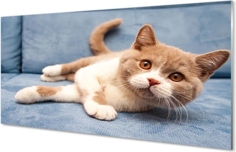 Panel szklany do Kuchni Spokojny Odpoczynek Kota