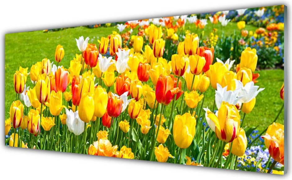 Panel Szklany do Kuchni Wiosenna Świeżość Tulipanów
