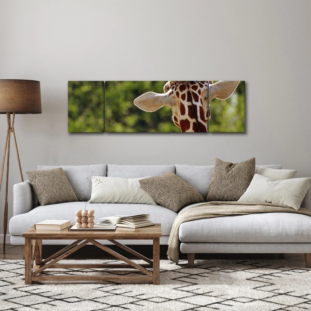 Obraz żyrafy od tyłu (170x50 cm)