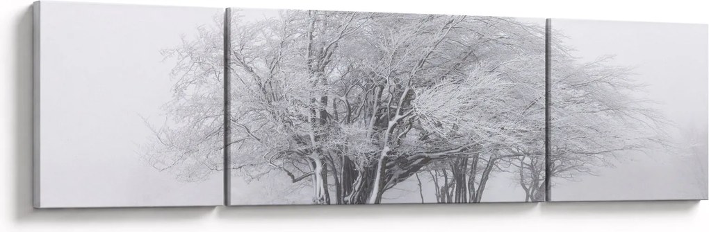 Obraz - Biała zima (170x50 cm)