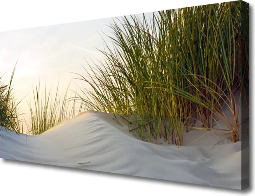 Obraz canvas na ścianę Wydmy Piaszczyste i Trawy
