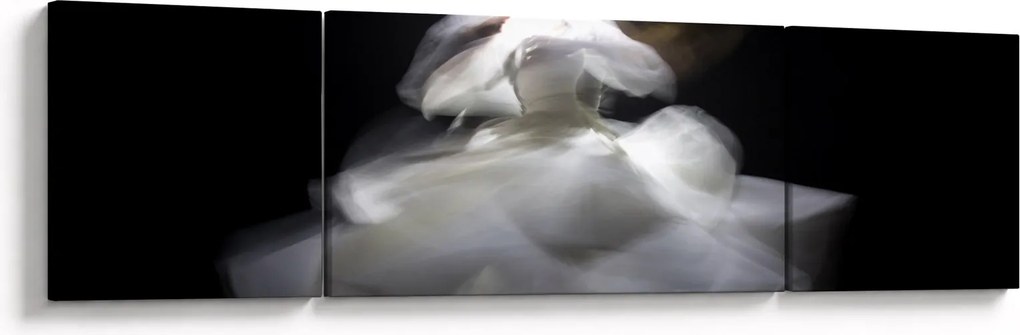 Obraz kwiatu lotosu (170x50 cm)