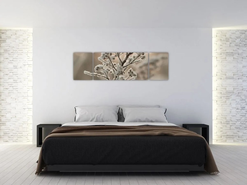 Obraz - Roślina w mrozie (170x50 cm)