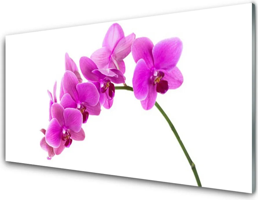 Panel nad blat kuchenny Elegancja Egzotycznej Natury