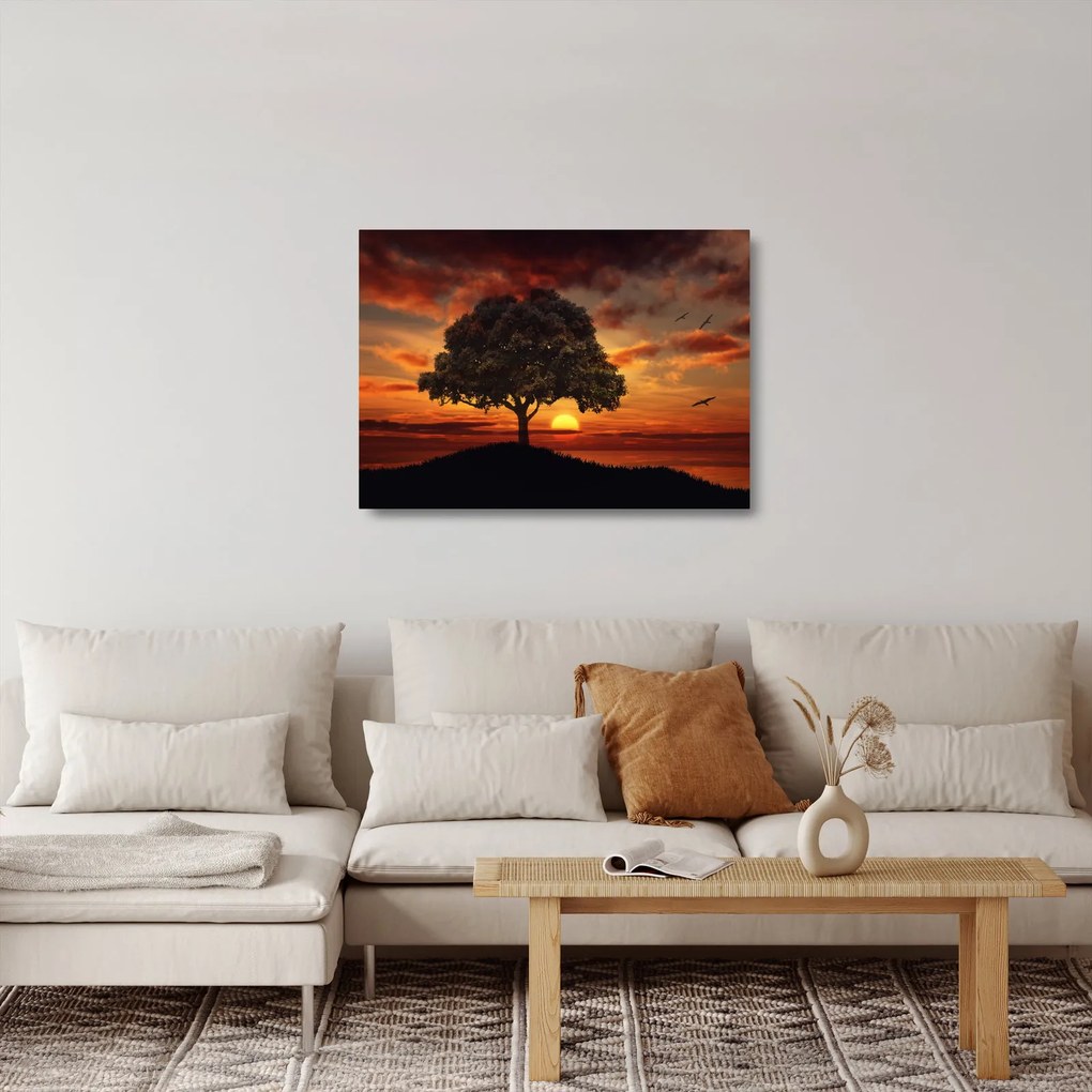 Obraz na szkle drzewa o zachodzie słońca (70x50 cm)