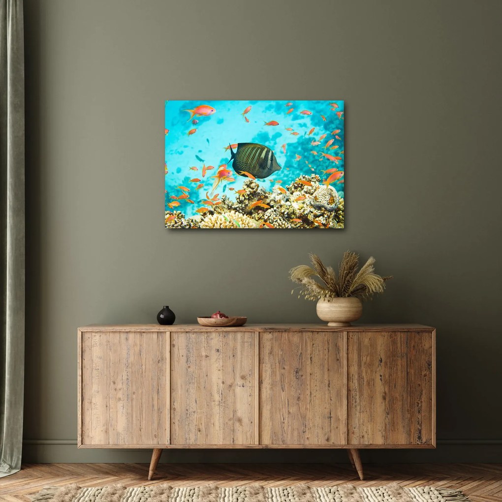 Obraz podwodnego świata (70x50 cm)