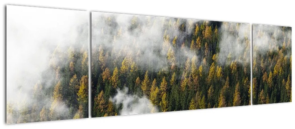 Obraz lasu w chmurach (170x50 cm)