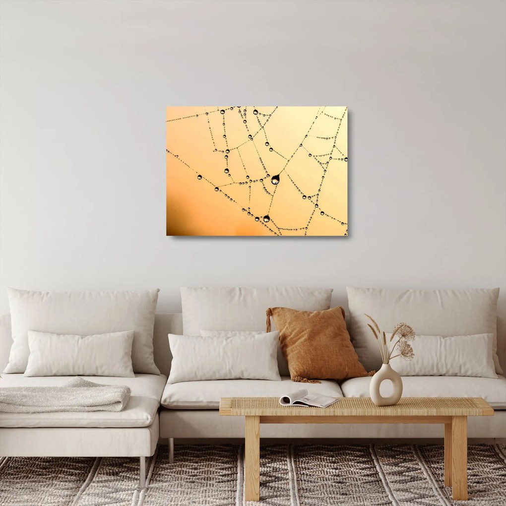 Obraz na szkle - zroszona pajęczyna (70x50 cm)