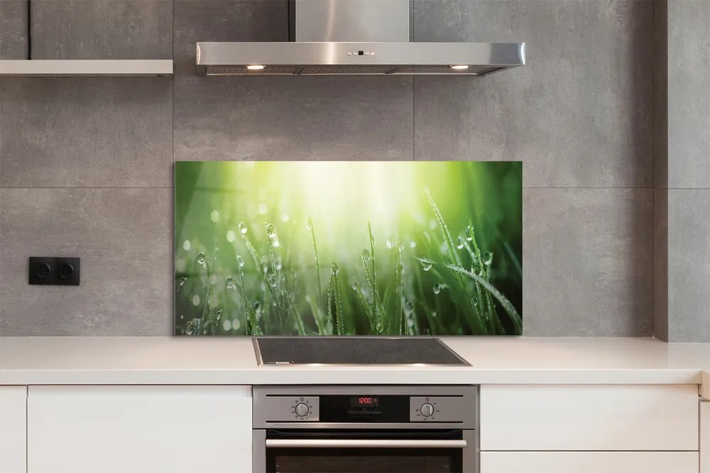 Szklany Panel Trawa w Promieniach Słońca