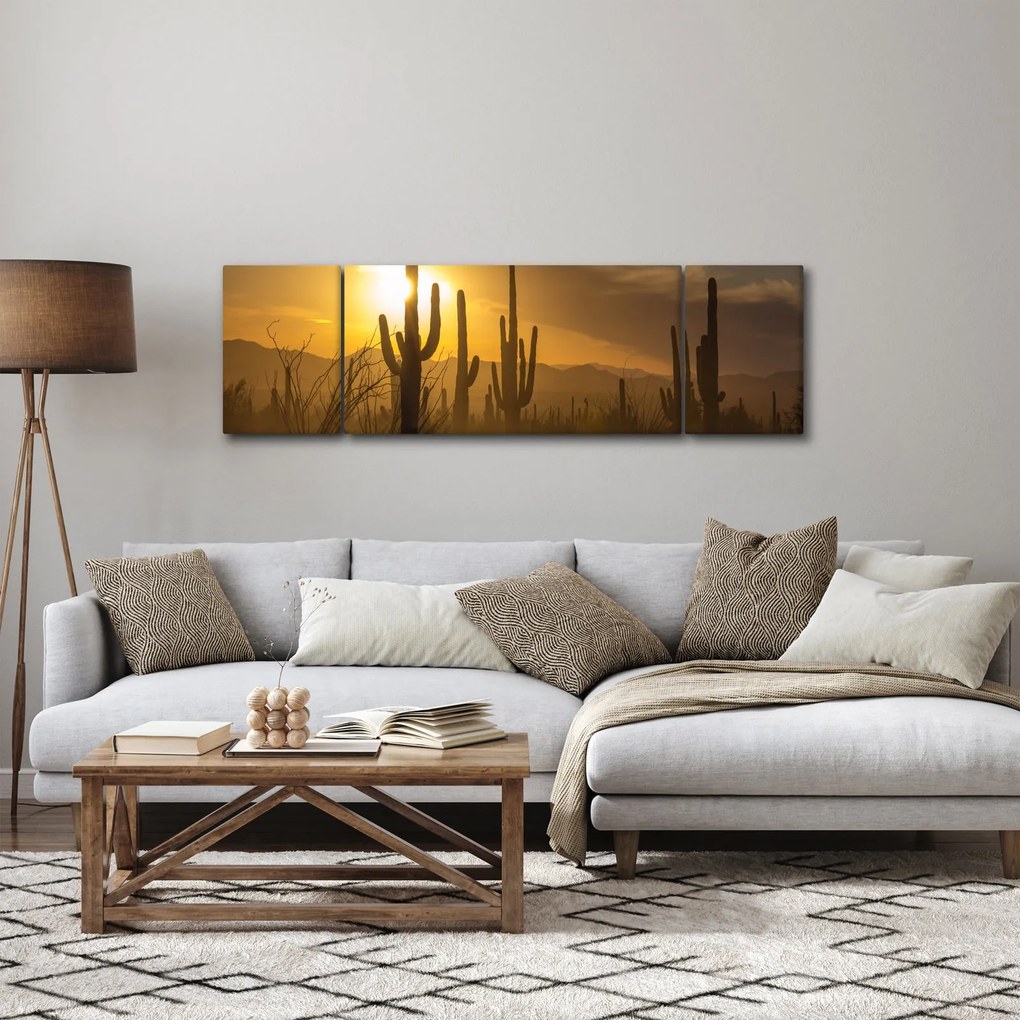 Obraz - Kaktusy Saguaro (170x50 cm)
