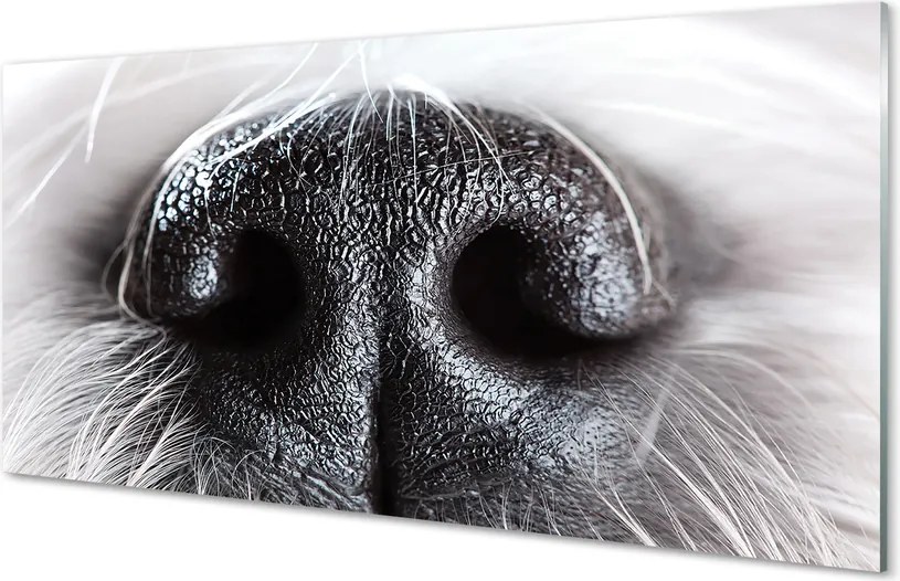 Szkło Ozdobne do Kuchni Zbliżenie na Psi Nos