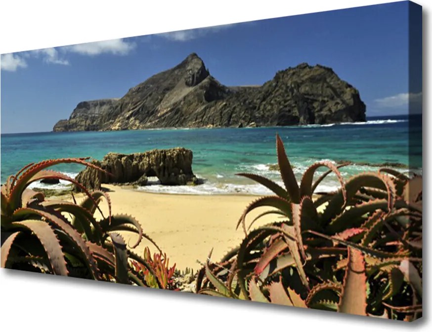 Obraz canvas Skaliste Wybrzeże Oceanu