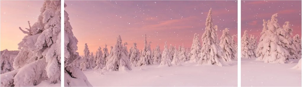 Obraz - Drzewa pod warstwą śniegu (170x50 cm)