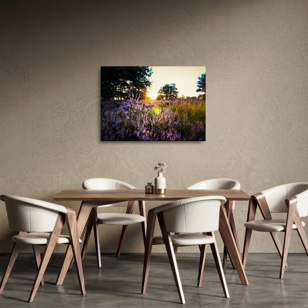 Obraz na szkle pola lawendy (70x50 cm)