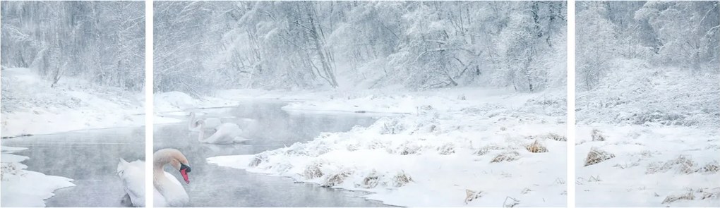 Obraz łabędzi (170x50 cm)