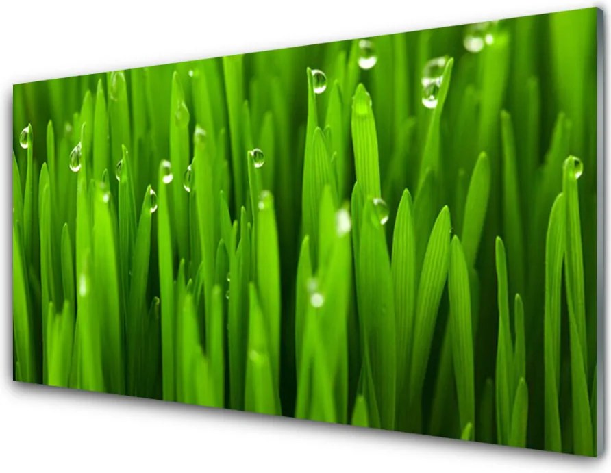 Panel Kuchenny Naturalne Źdźbła Trawy