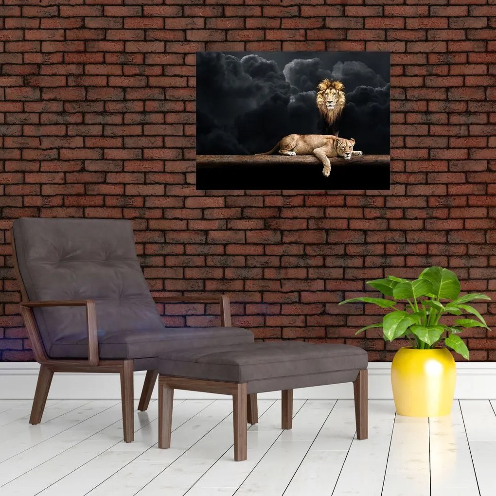 Obraz - Lew i lwica w chmurach (70x50 cm)
