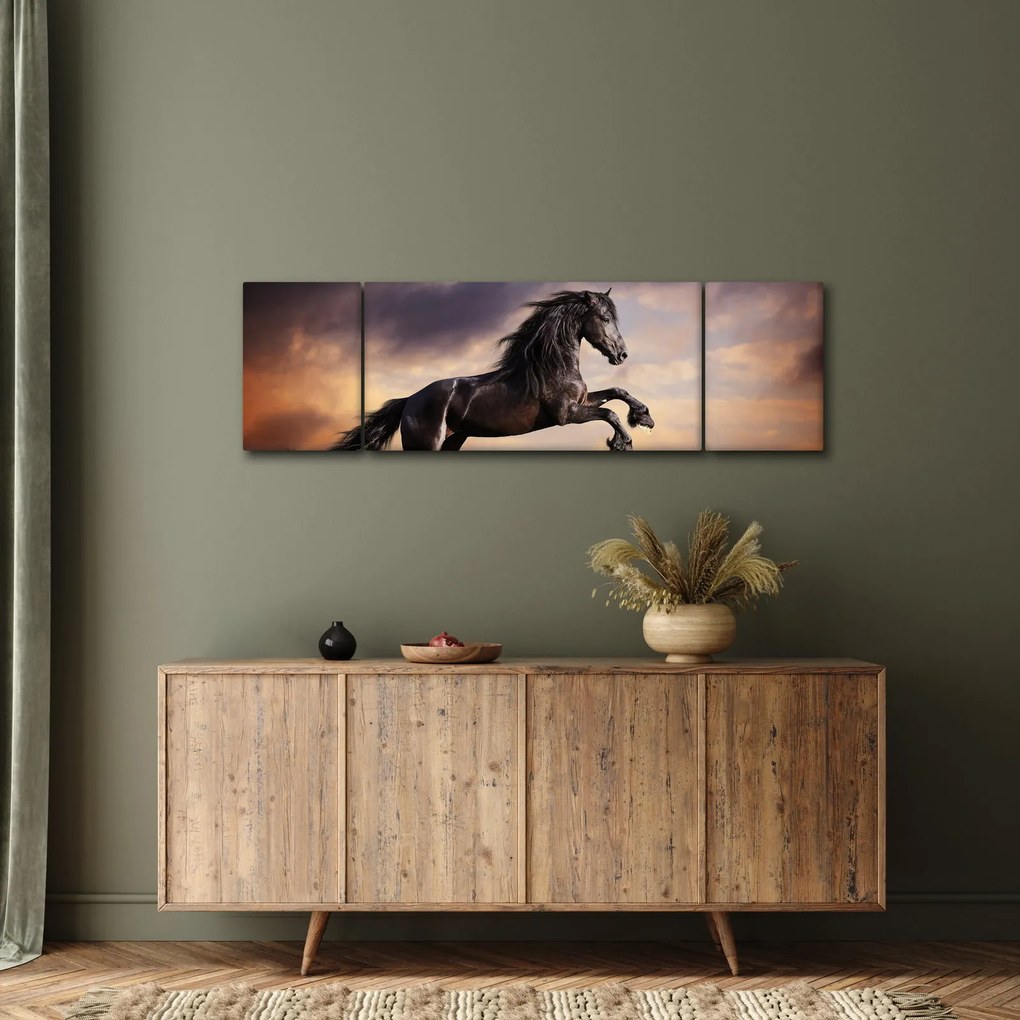Obraz - Konie (170x50 cm)