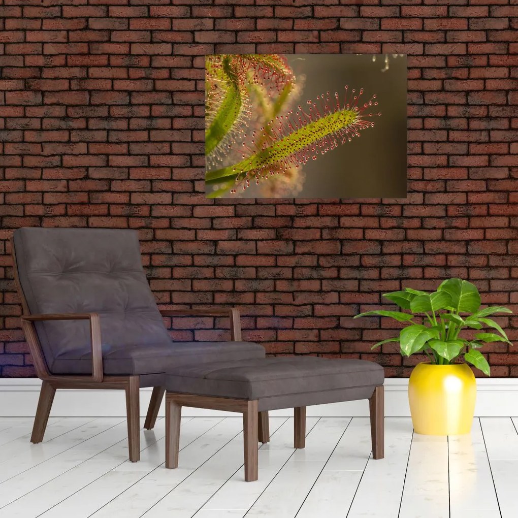 Obraz rośliny (70x50 cm)