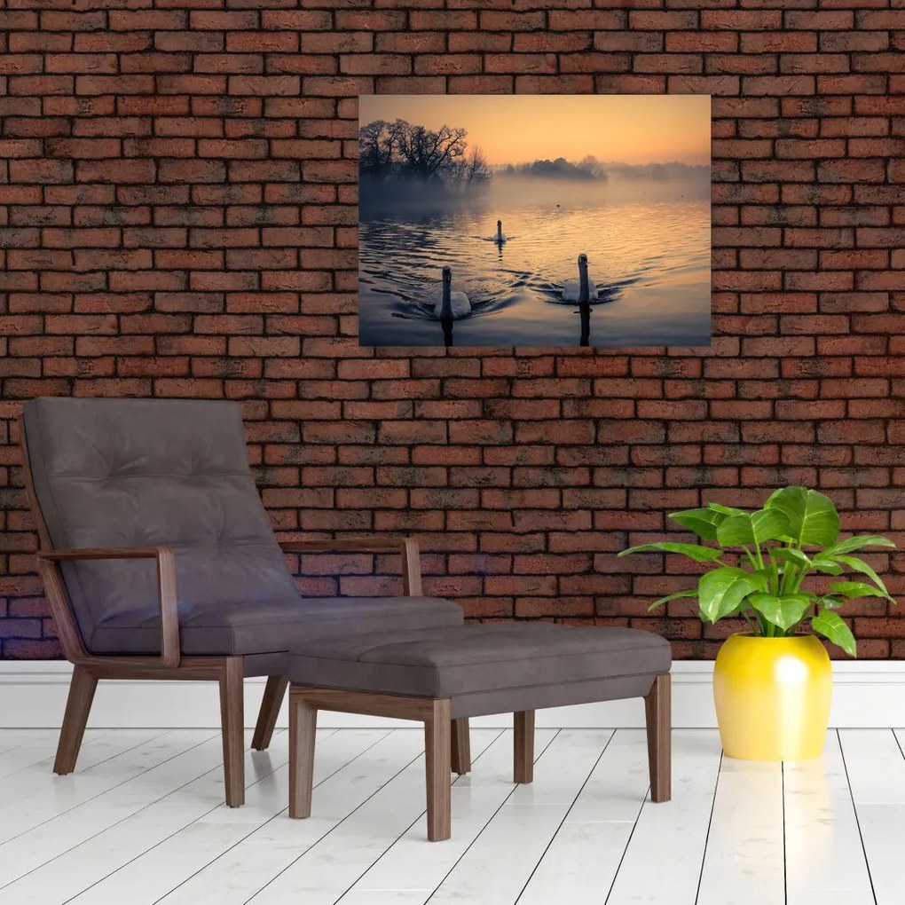 Obraz łabędzi na wodzie we mgle (70x50 cm)