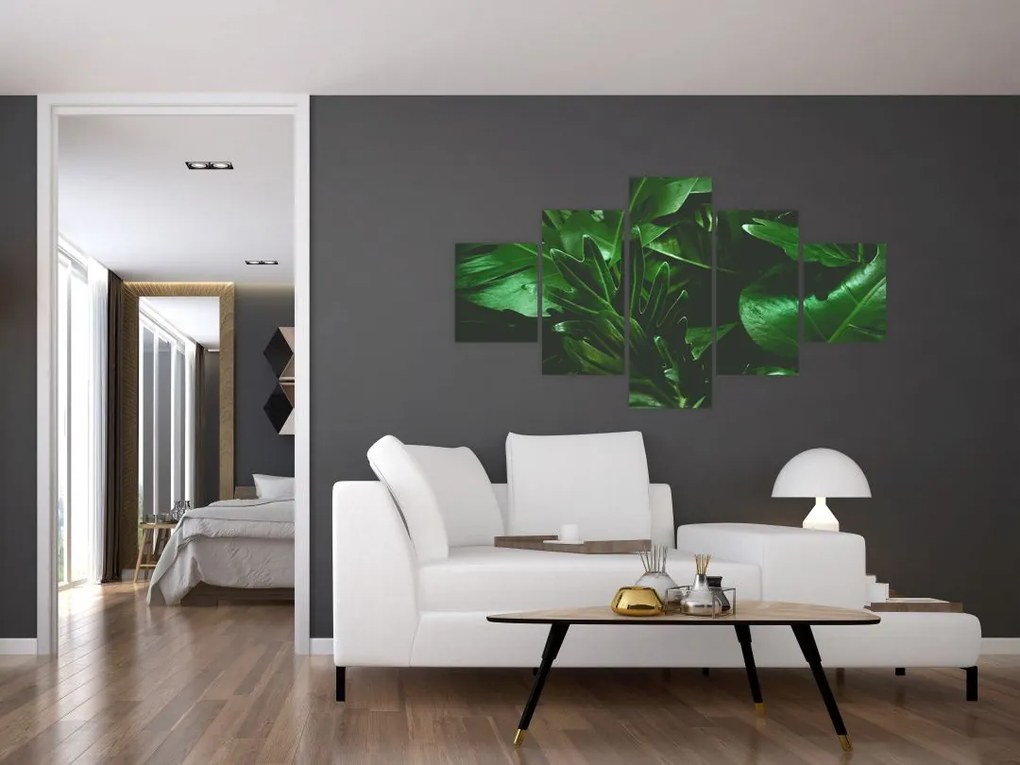 Obraz - Liście palmowe (125x70 cm)